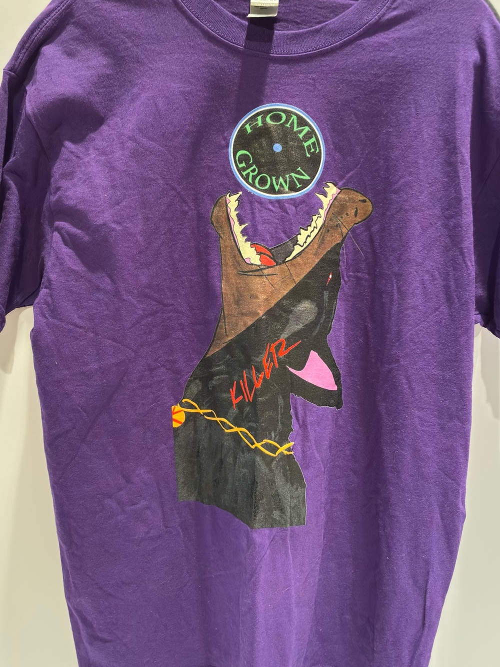 Gildan Purple Graphic Tee with Multicolor Print